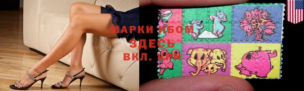 гидра Наволоки