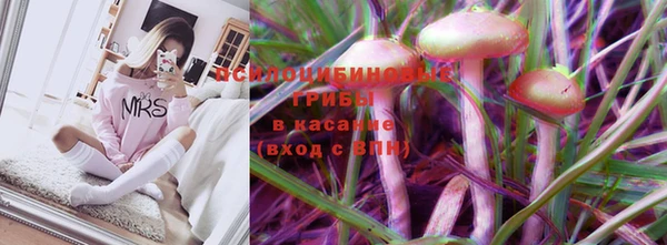 индика Навашино