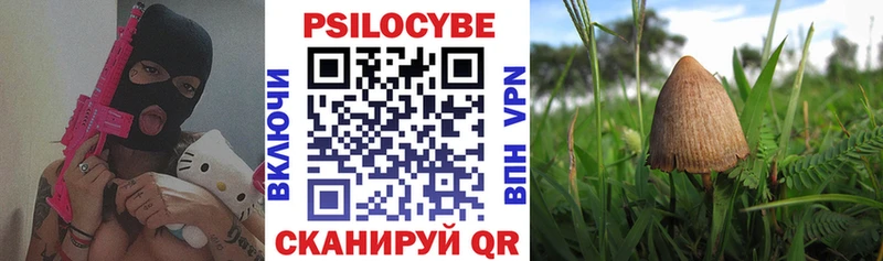 Псилоцибиновые грибы MAGIC MUSHROOMS  Холм 